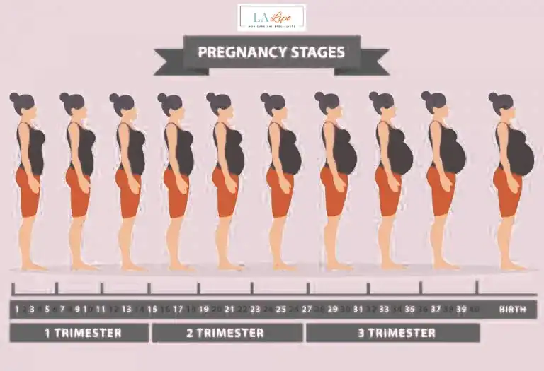 First Trimester (Weeks 1–12): Early Changes You Might Not Notice Stratford